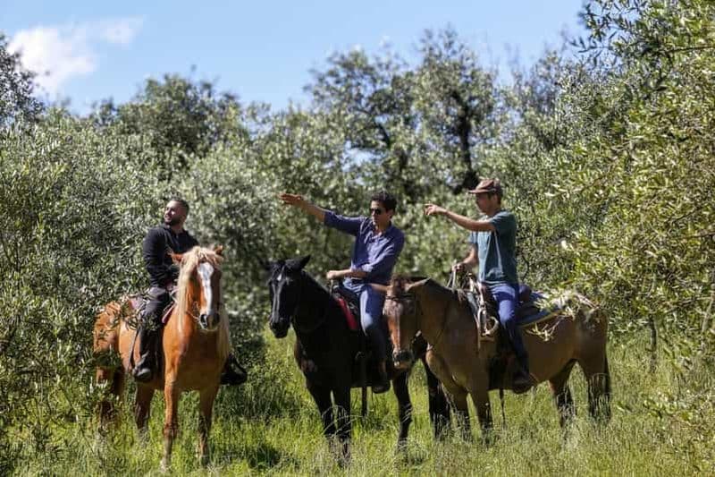 Florence : promenade à cheval et apéritif italien