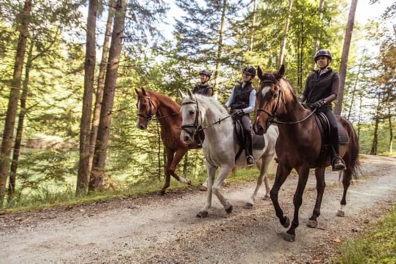 Agadir : Visite guidée à cheval de la forêt et des dunes de sable