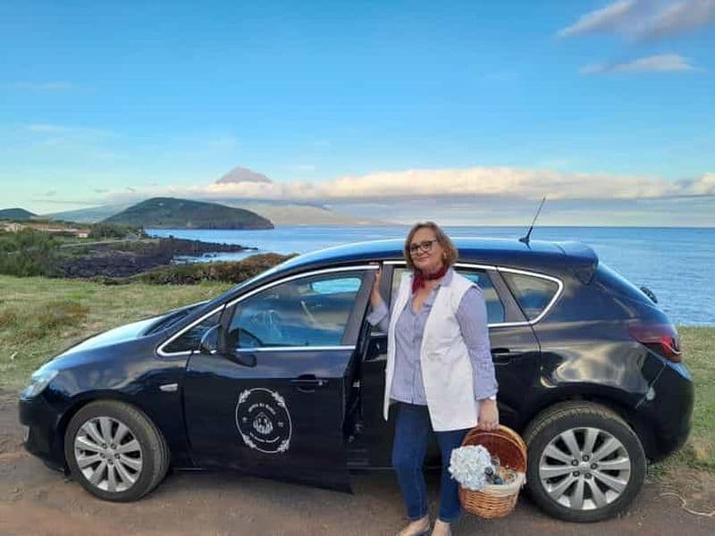 Billet Île de Faial : Visite personnalisée avec Pic Nic