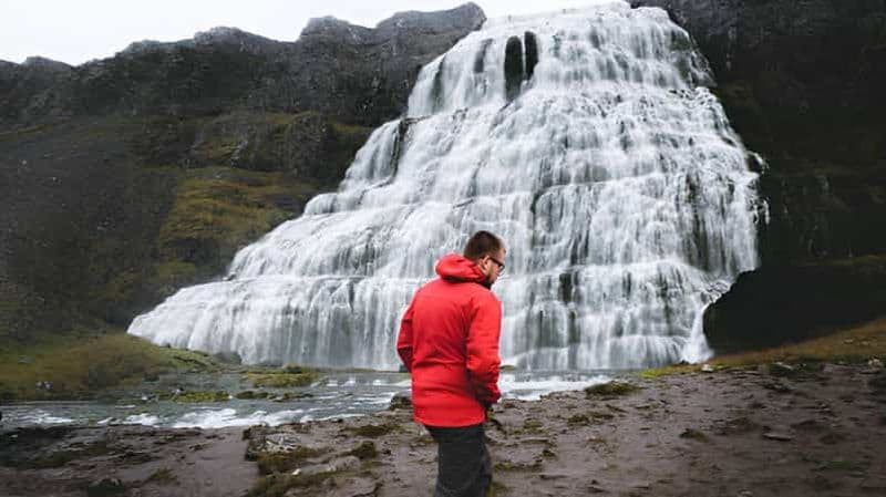 Billet Depuis Isafjordur : visite privée de la cascade de Dynjandi et d'une ferme