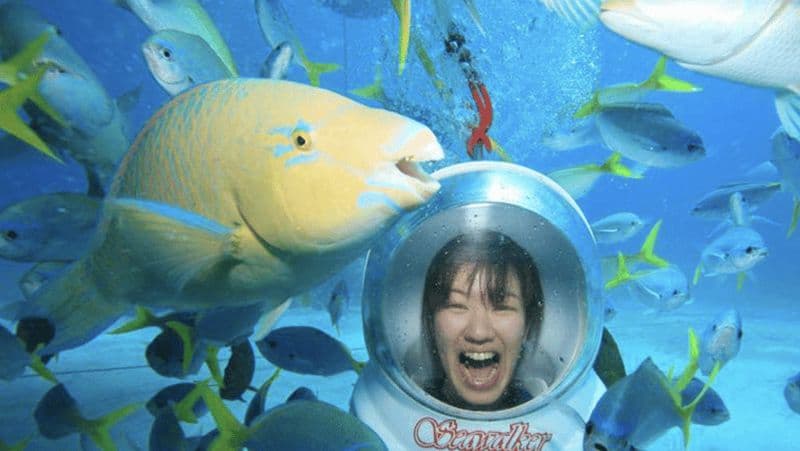 Billet Bali : Promenade sous-marine, temple d'Uluwatu et danse Kecak