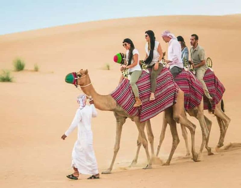 Doha : Excursion familiale dans le désert avec balade à dos de chameau et quad