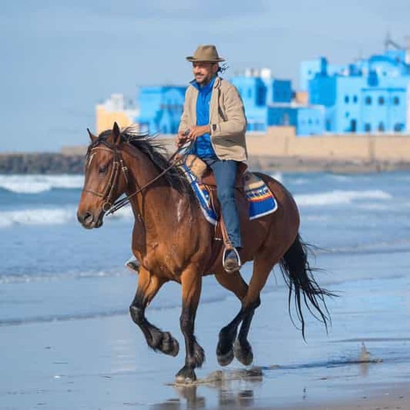 Billet Marrakech : Excursion d'une journée à Essaouira avec promenade à cheval