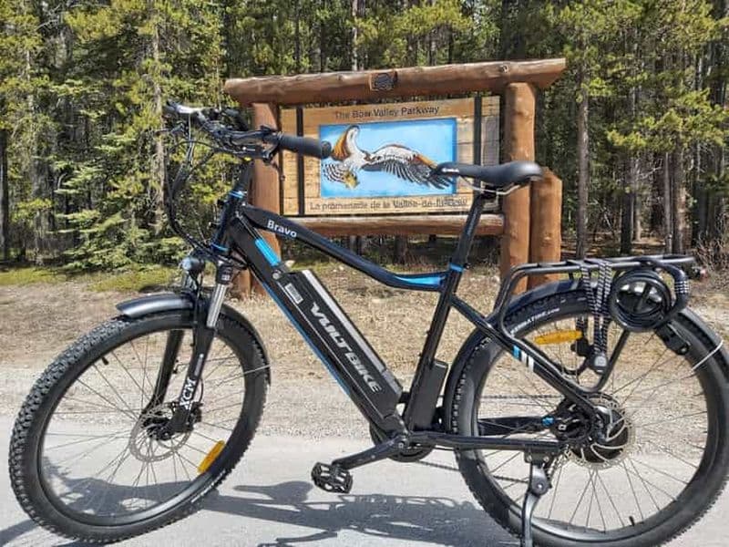 Banff : visite à pied et en vélo électrique de 4 heures dans le canyon Johnston