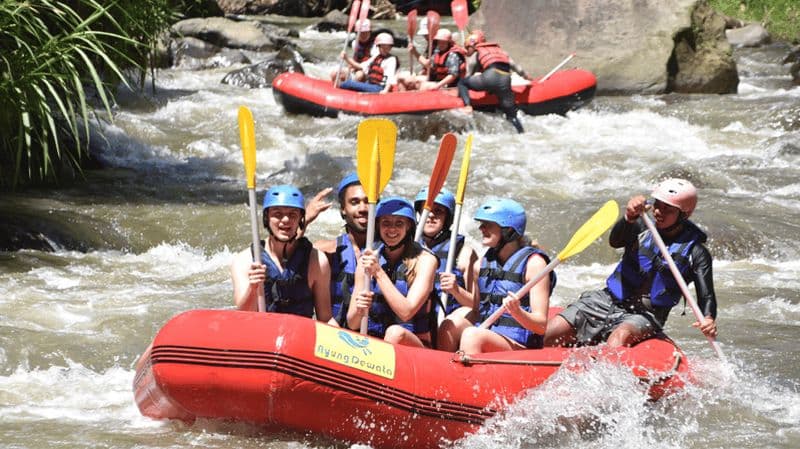 Billet Ubud : Visite guidée du Rafting en eaux vives avec déjeuner