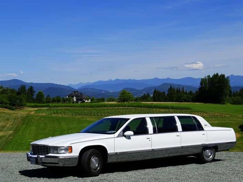 Vancouver : Visite d'une jounée et dégustation de vins