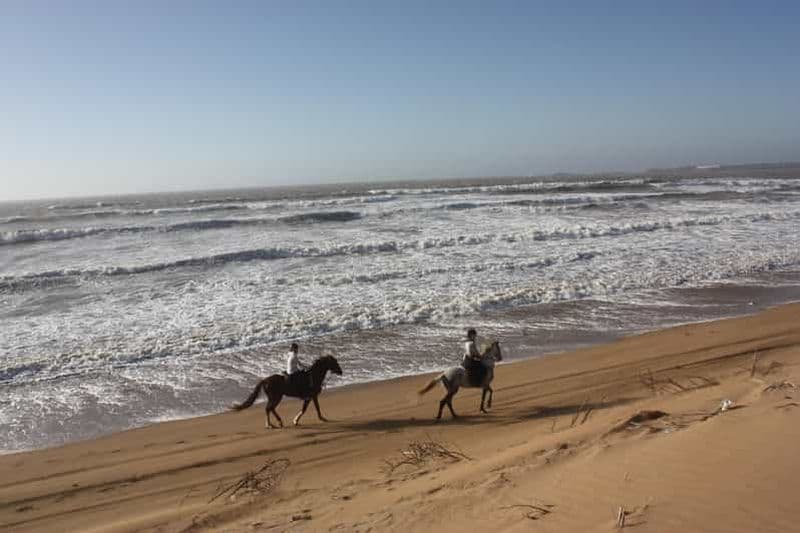 Billet Essaouira : 3 heures de cheval et nuit sous tente berbère