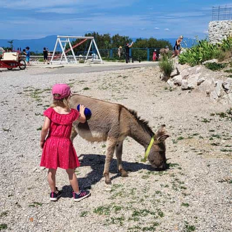 Billet Šmrika (près de Rijeka/Krk/Crikvenica) Ferme de l'âne Amusement familial