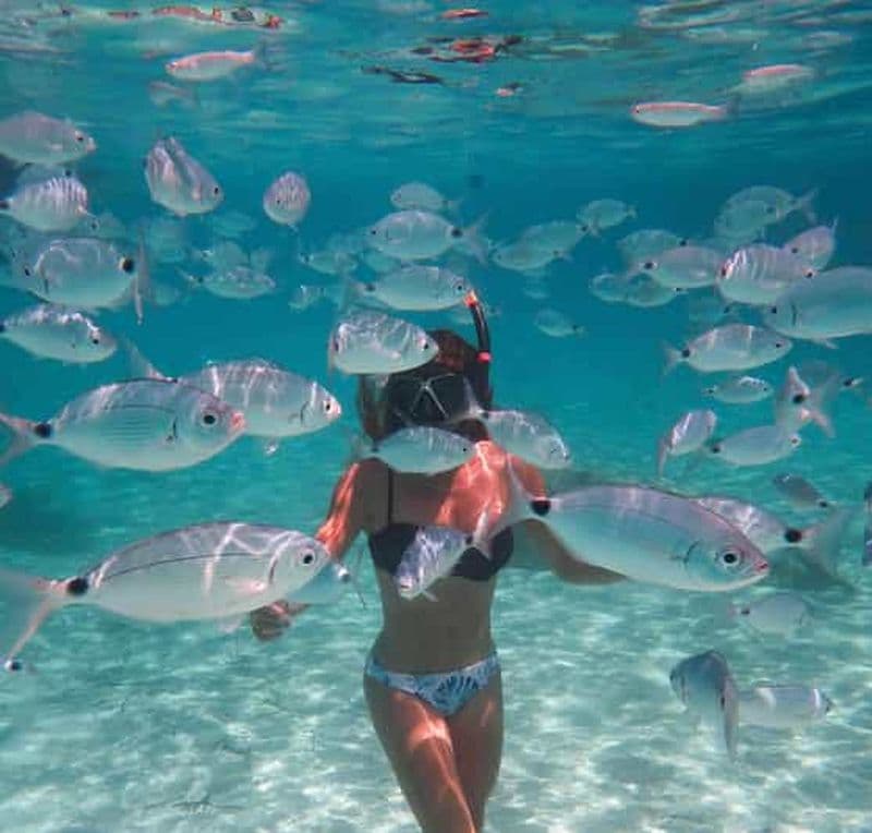 Calvi : Sortie snorkeling en bateau en bordure de réserve