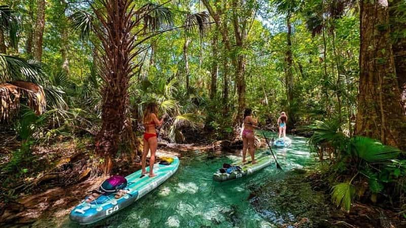 Billet Rainbow River : excursion en paddle board