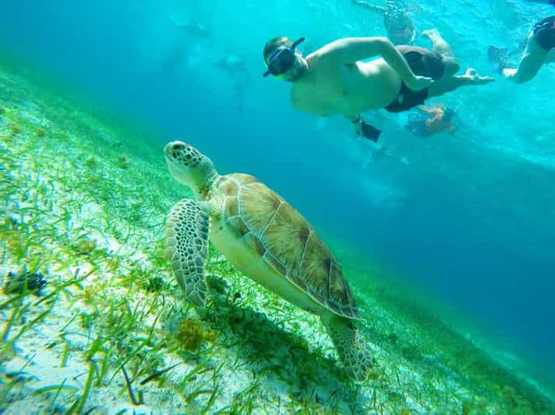 Billet Depuis Cozumel : étoiles de mer, raies pastenagues et snorkeling à El Cielo