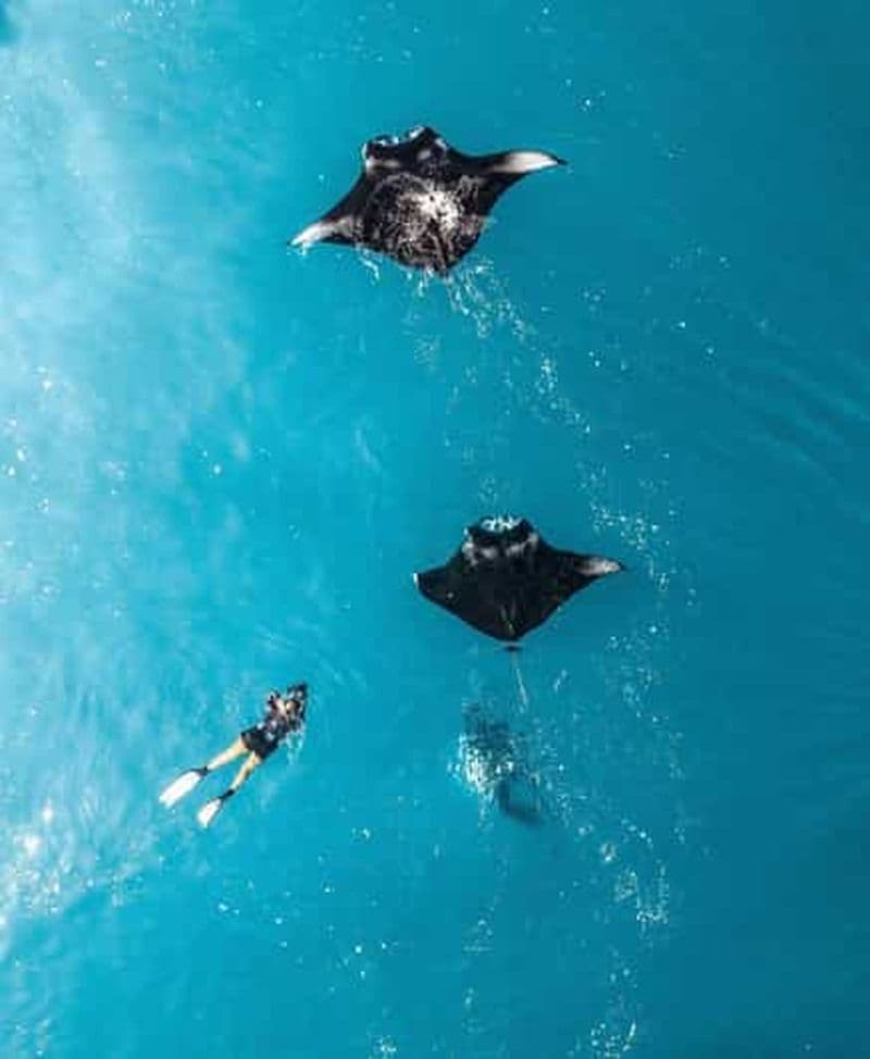 Billet Bali : Nusa Penida Plongée en apnée à Manta Point avec excursion terrestre