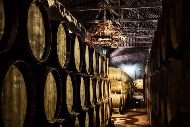 Visite guidée des vins de Setúbal : Découvrez le vin Moscatel