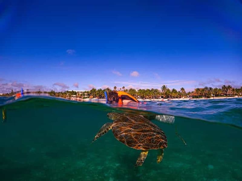 Billet Guides de la région du sanctuaire des tortues d'Akumal