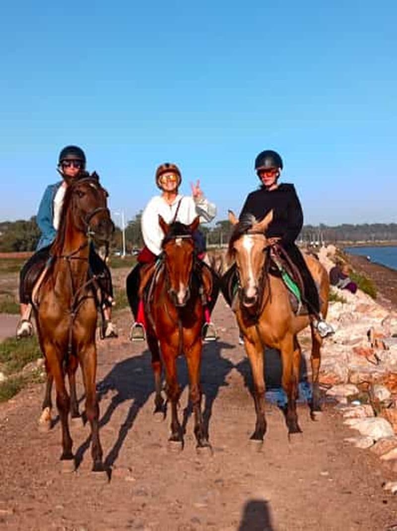 Billet Aventure unique : randonnée à cheval et à dos de chameau à Agadir
