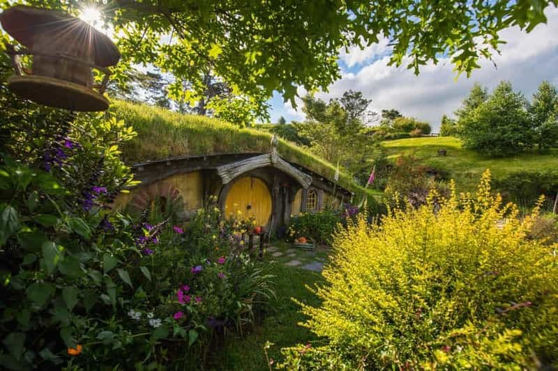 Billet Auckland : visite privée du plateau de tournage de Hobbiton et des grottes de Waitomo