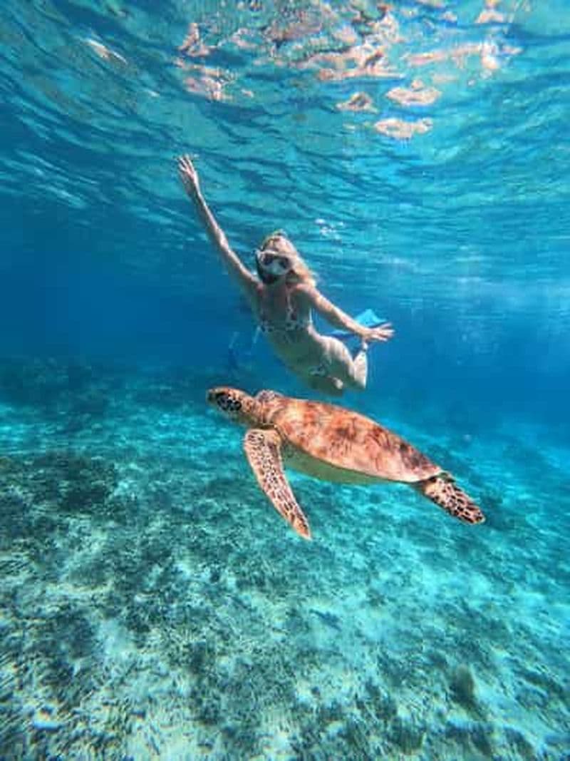 Meilleure excursion de plongée avec tuba et sanctuaire de tortues, GoPro incluse.