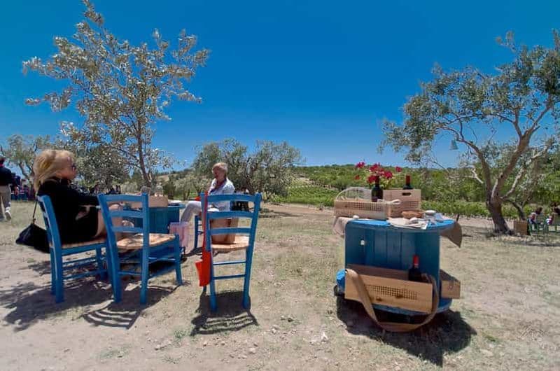 Billet Visite privée de l'Etna et du vin