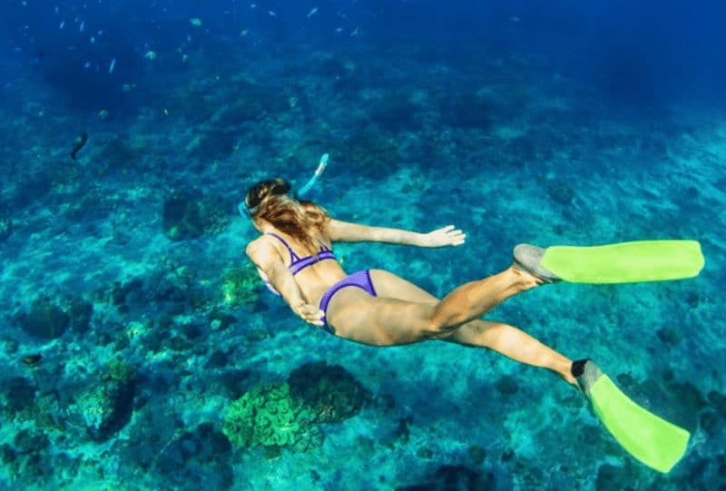 Nassau : Croisière en catamaran et plongée en apnée