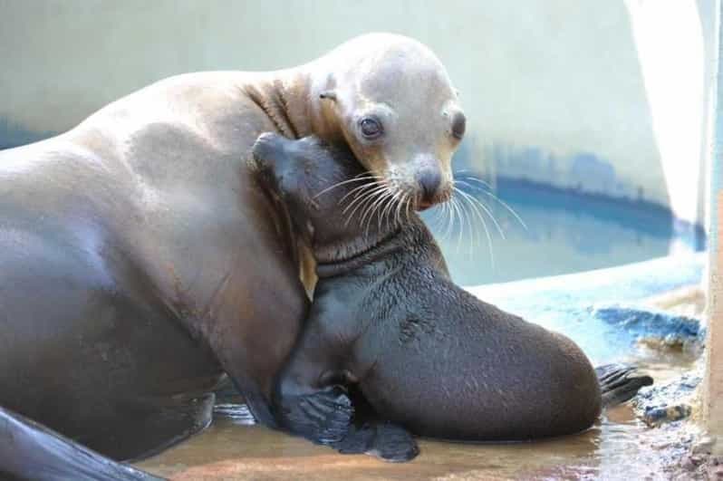 Athènes : Parc zoologique de l'Attique et jardin national d'Athènes