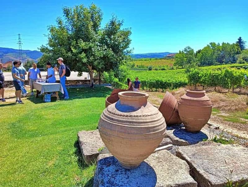 Billet Porto : 3 régions viticoles et déjeuner à la ferme avec vue, en petit groupe