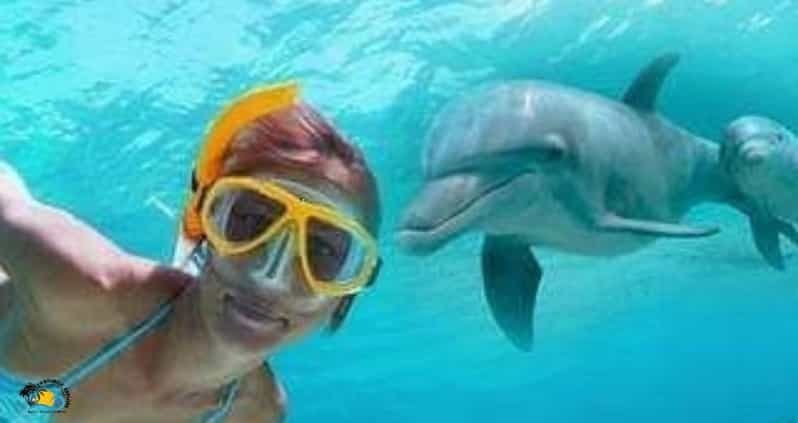 Billet Zanzibar : plongée en apnée sur l'atoll de Mnemba et visite du village de Nungwi