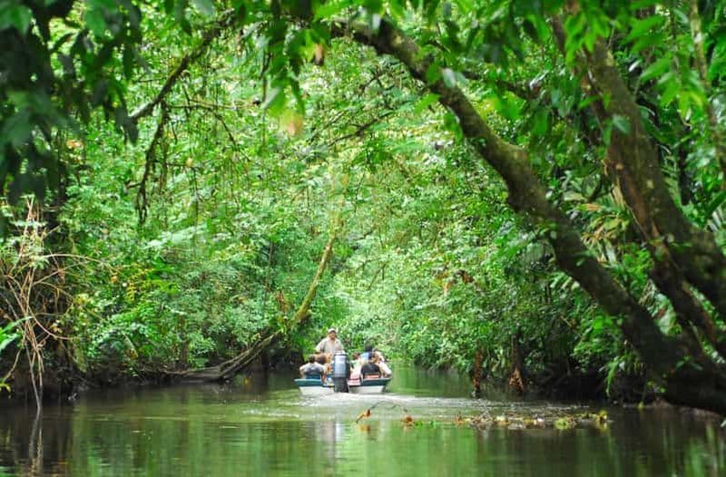 Billet San Jose : Visite du parc de Tortuguero avec petit-déjeuner et déjeuner