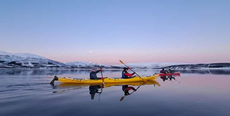 Tromsø : Excursion hivernale facile en kayak avec observation des phoques