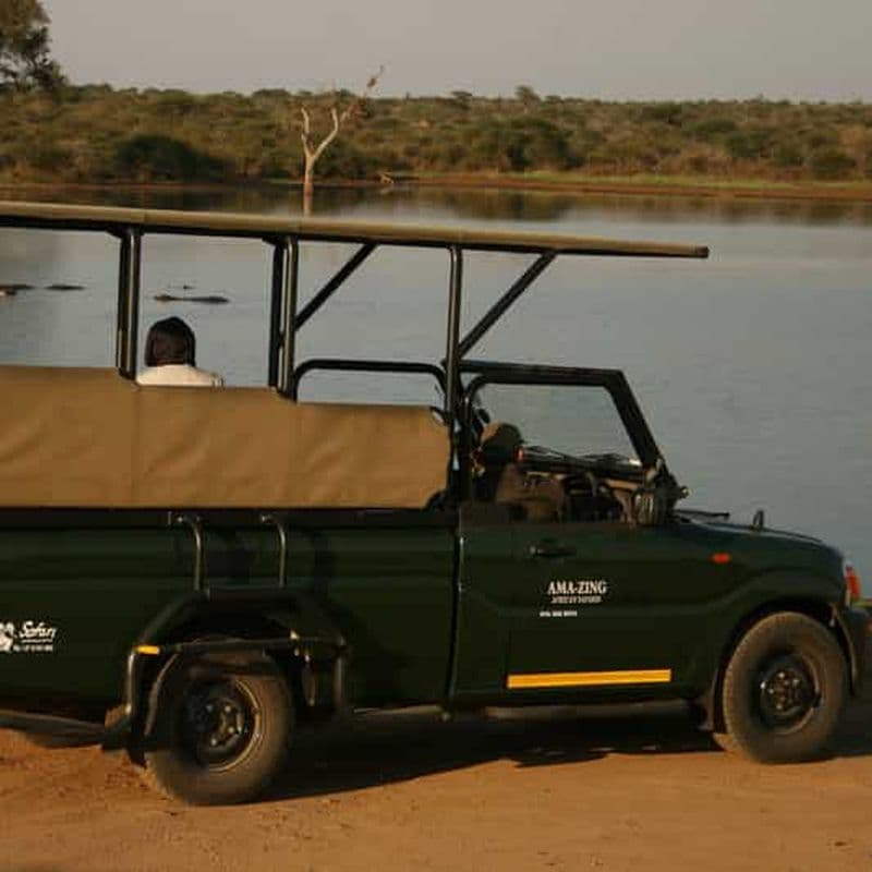 Billet Parc national Kruger : safari privé ou en groupe d'une demi-journée