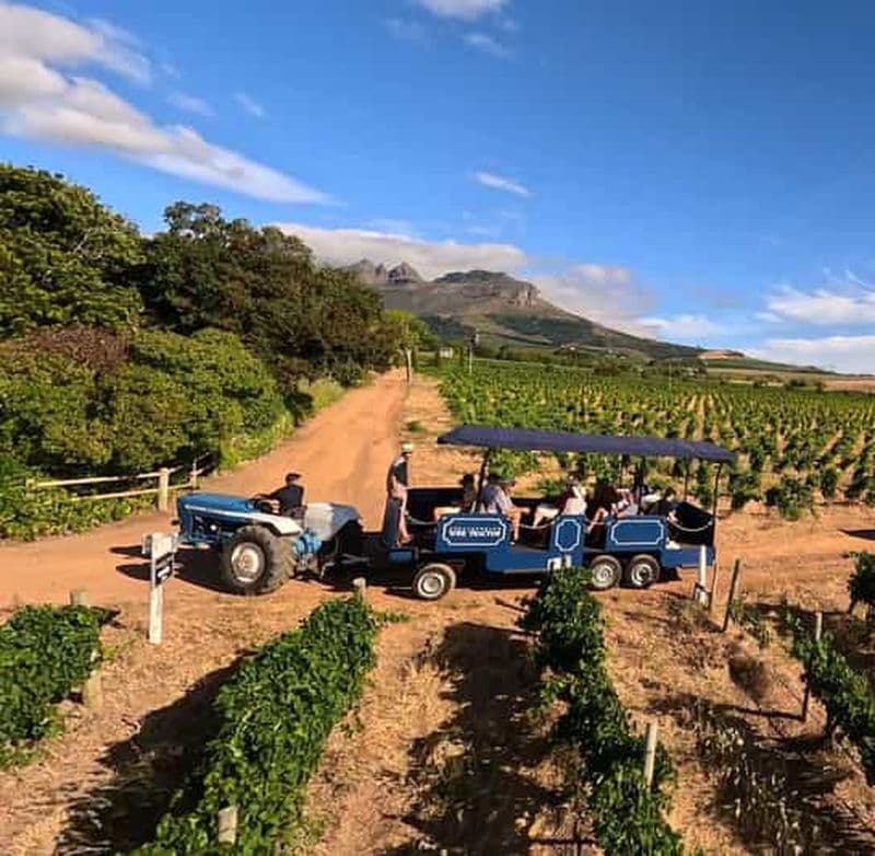 Billet Le Cap : visite à arrêts multiples du vin de Stellenbosch en tracteur