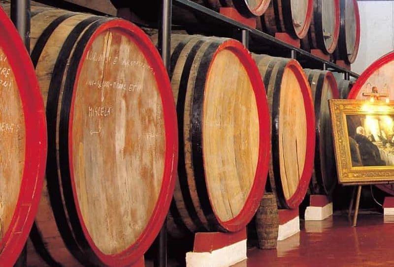 Marsala : Visite d'un vignoble avec dégustation de vins et de produits locaux