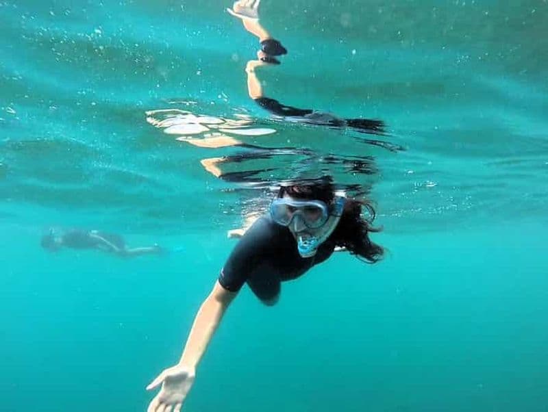 Billet Snorkeling guidé à Cambrils avec explications sur l'environnement marin.