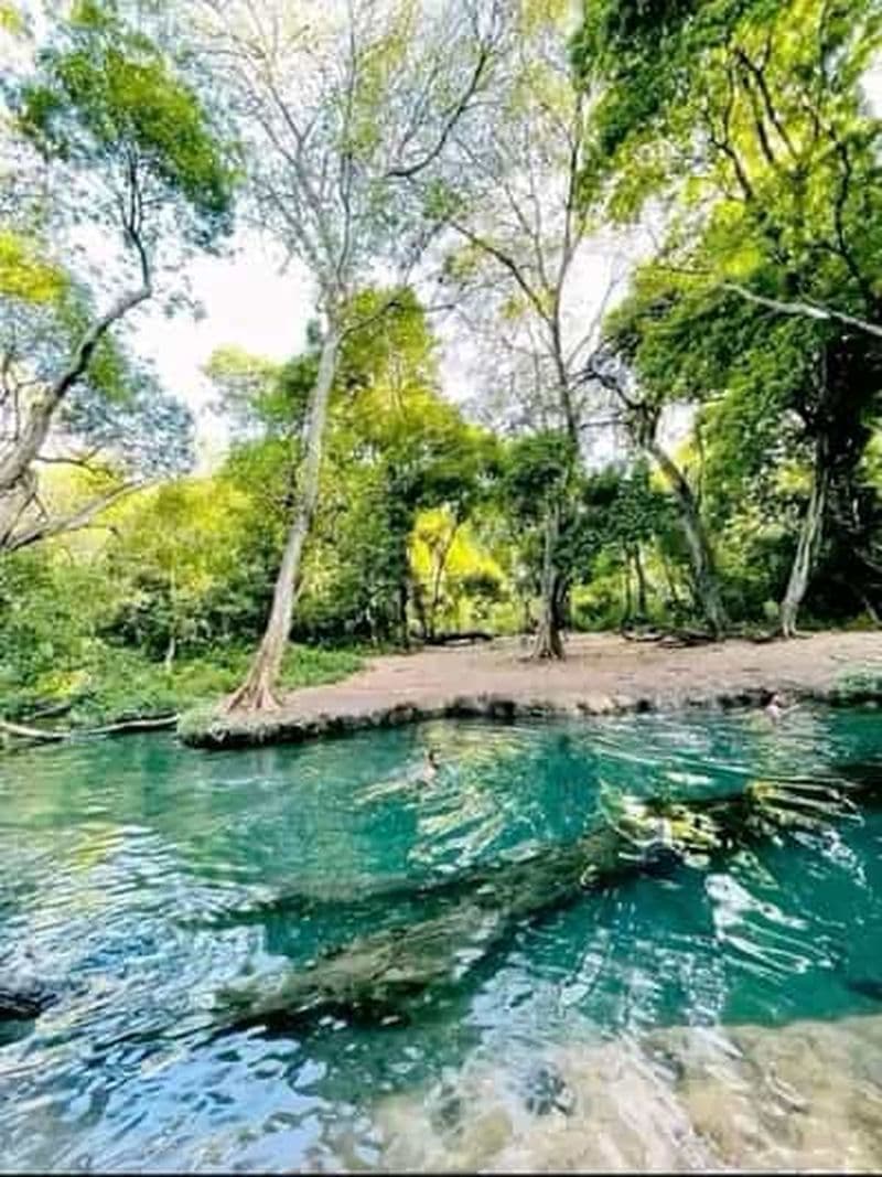 Arba Minch : village Dorze, lac Chamo, TukTuk, sud de l'Éthiopie