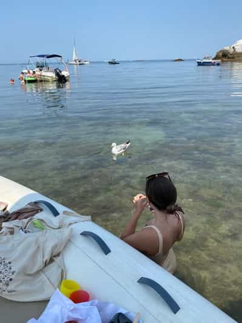 Billet Excursion en bateau à Biarritz, Pays basque