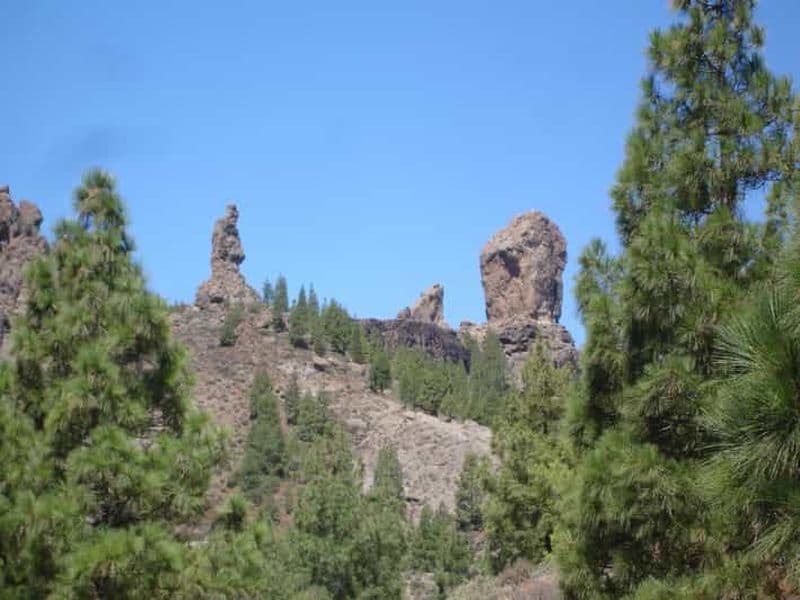 Billet Au départ de Las Palmas : excursion d'une journée au Pico de las Nieves et au Roque Nublo