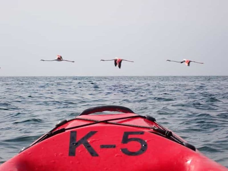Journée de la dune en kayak