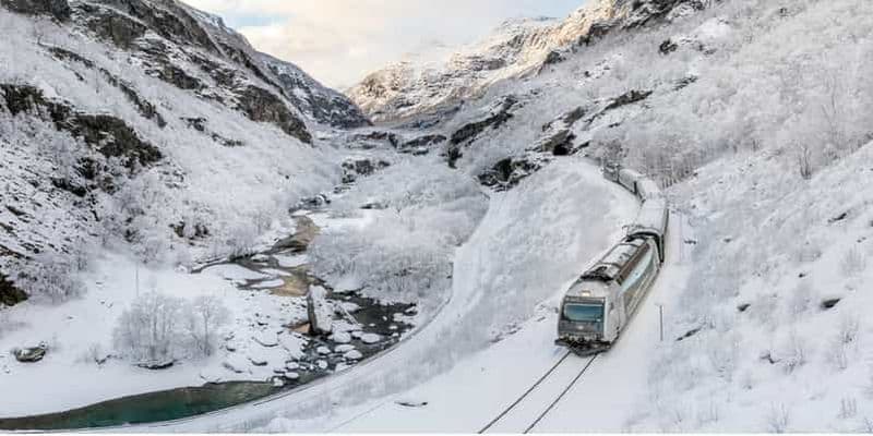 Billet Circuit hivernal Village viking, croisière sur le Nærøyfjord et chemin de fer de Flåm