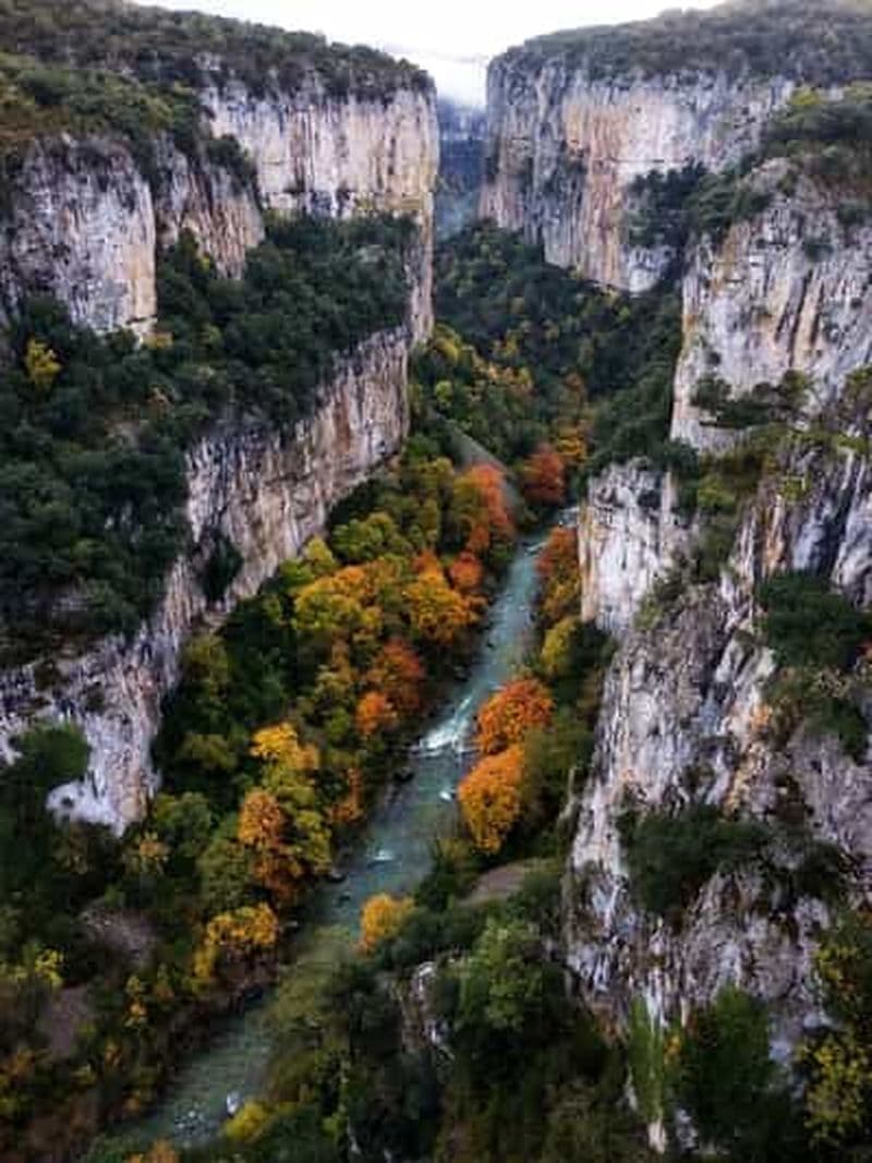 Billet Excursion dans la forêt d'Irati et à Ochagavía