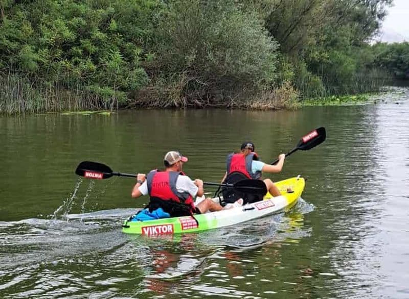Excursion en kayak sur le lac Skadar : Un voyage dans la tranquillité
