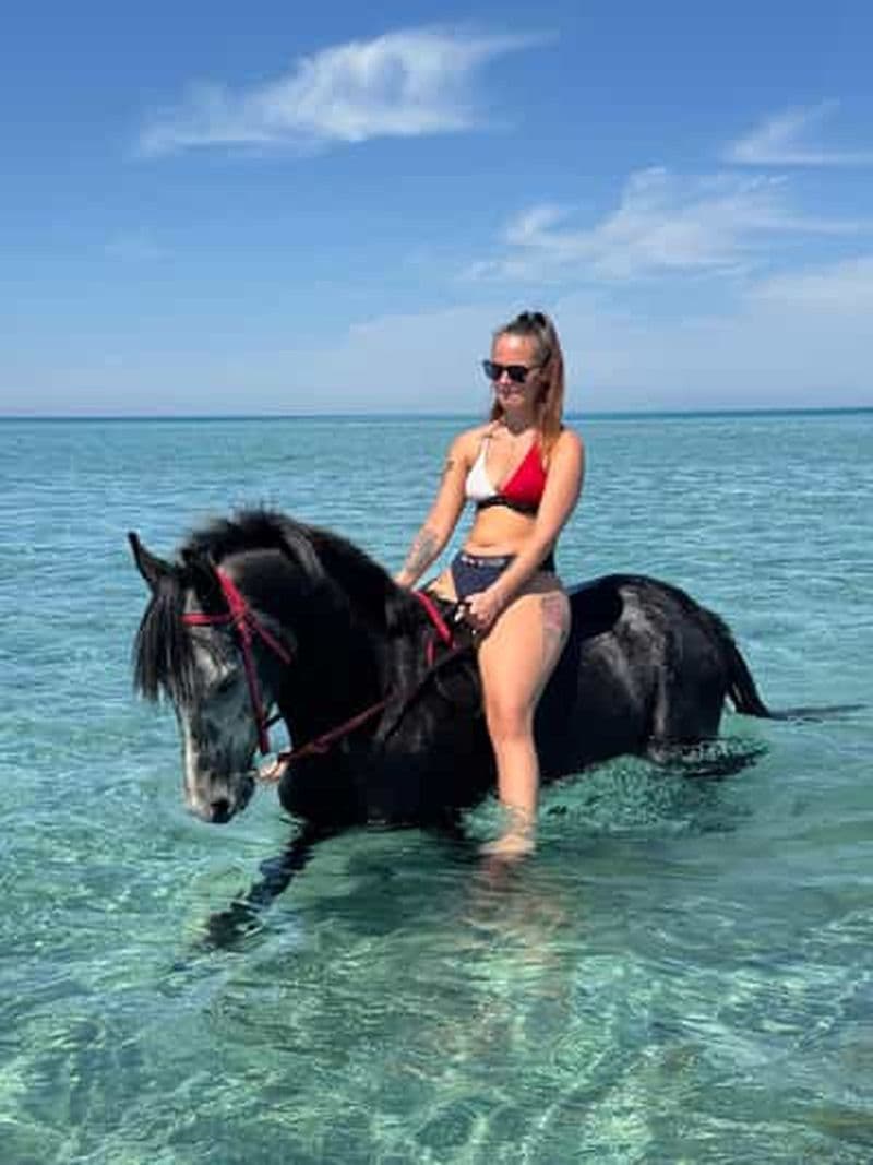 Hurghada : aventure à cheval dans le désert et sur la plage