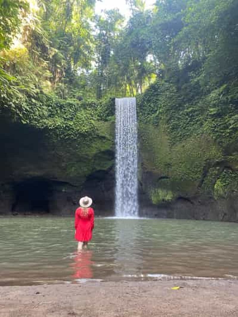 Billet Bali Best Waterfall, Tirta Empul Temple et Rice terrace