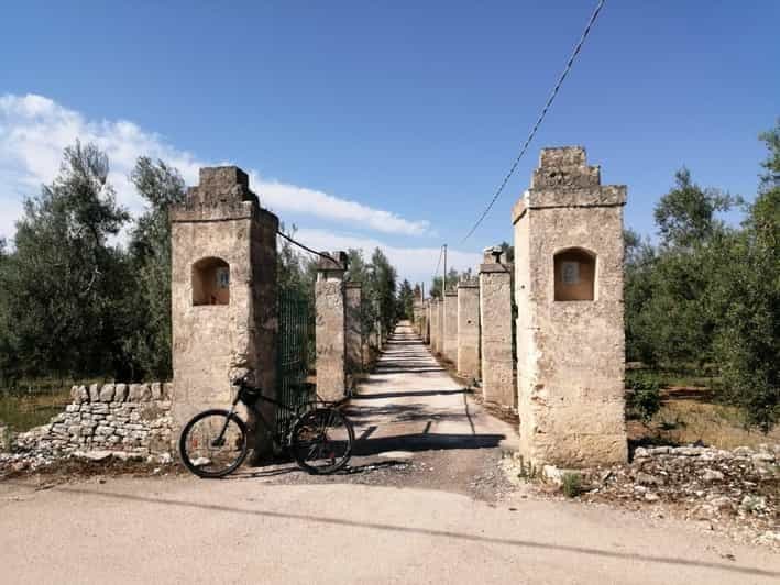 Billet Excursion à vélo à Trani + visite d'une oliveraie et dégustation d'huile d'olive