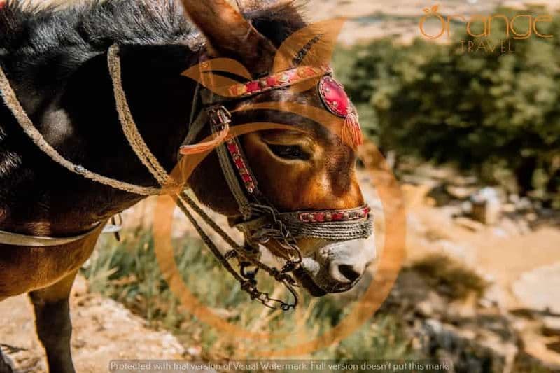 Billet Région d'Héraklion : demi-journée Plateau de Lasithi - Parc mythologique