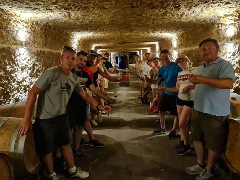 Billet Amboise : visite privée à vélo électrique avec billet pour le Clos Lucé