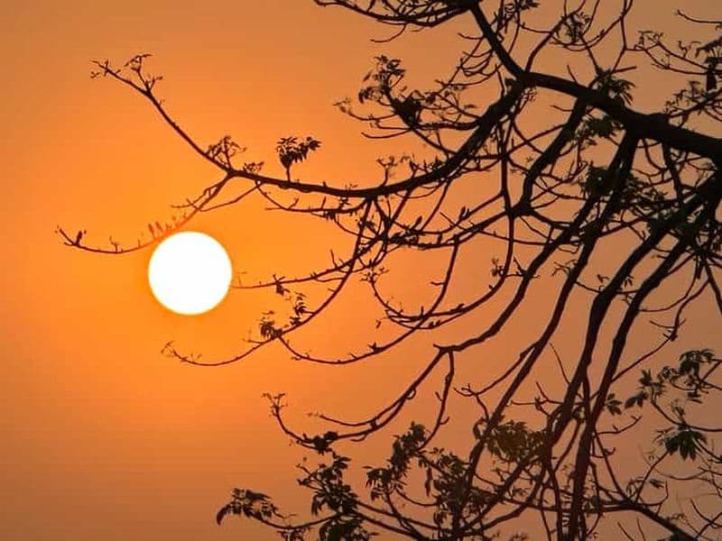 Billet Safari de 3 jours dans la jungle de Chitwan, depuis Katmandou ou Pokhara