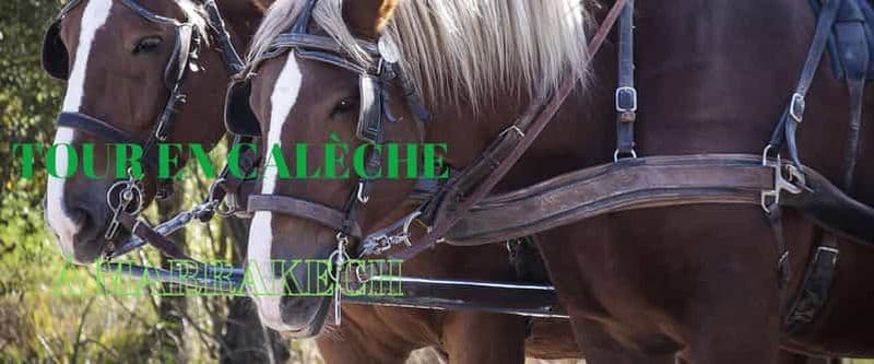 Marrakech : Promenade en calèche d'une heure