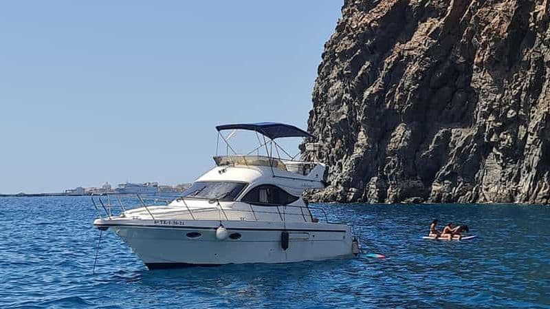 Billet Sud de Tenerife : safari en bateau de luxe, rencontres avec des animaux