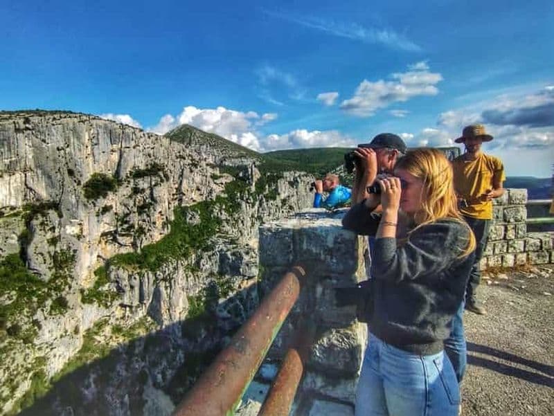 Billet Gorges du Verdon : Observation des Vautours