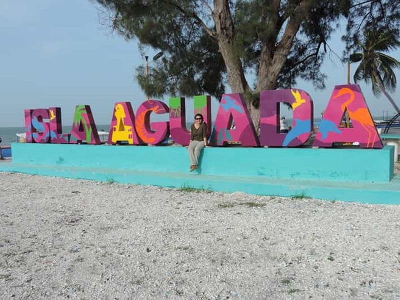 Billet Au départ de Campeche : excursion à la rencontre des dauphins à Isla Aguada