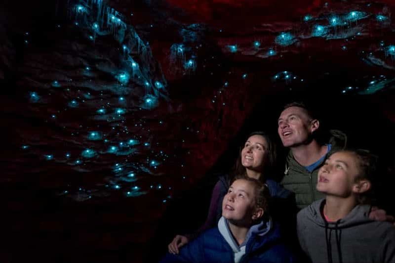 Billet Te Anau: visite guidée des grottes Glowworm